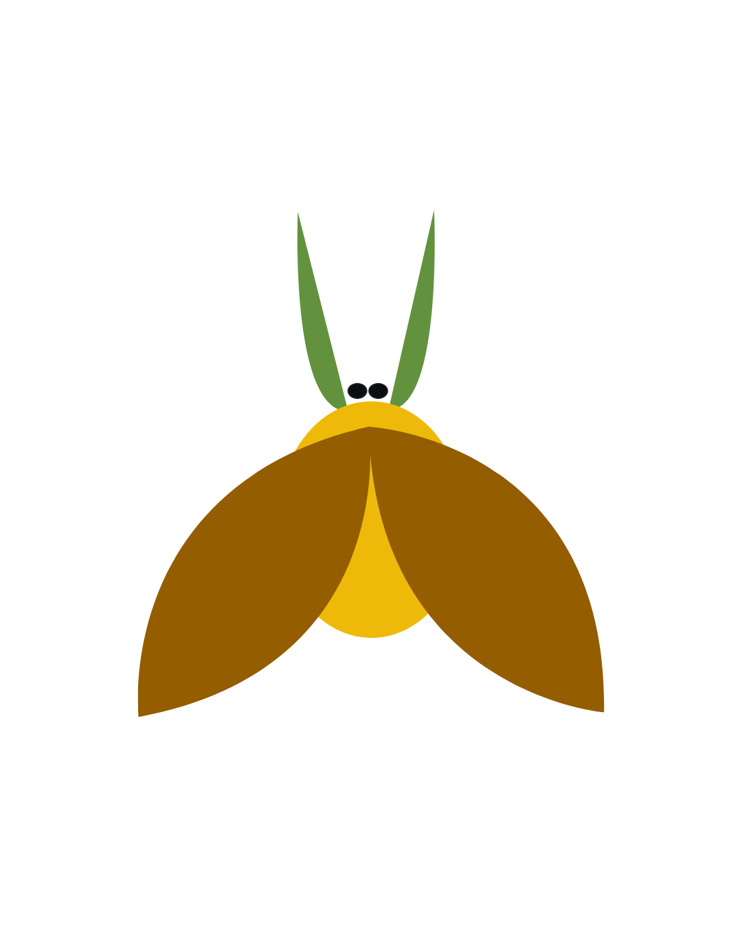 iklil